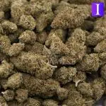 Wedding Crasher A - Indica - Image 3