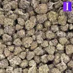 White Cherry Truffle Craft Popcorn - Indica - Image 2