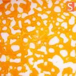 Shatter - Island Paradise - Sativa - Image 2