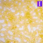 Shatter - Poison Fruit - Indica - Image 2