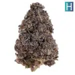 Blackberry Rhino AAAA - Hybrid