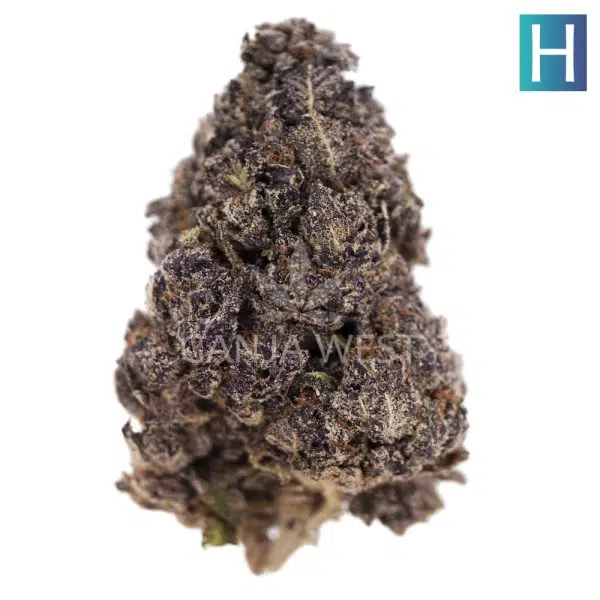 Blackberry Rhino AAAA - Hybrid