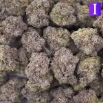 Wholesale - Crystal Palace - Craft