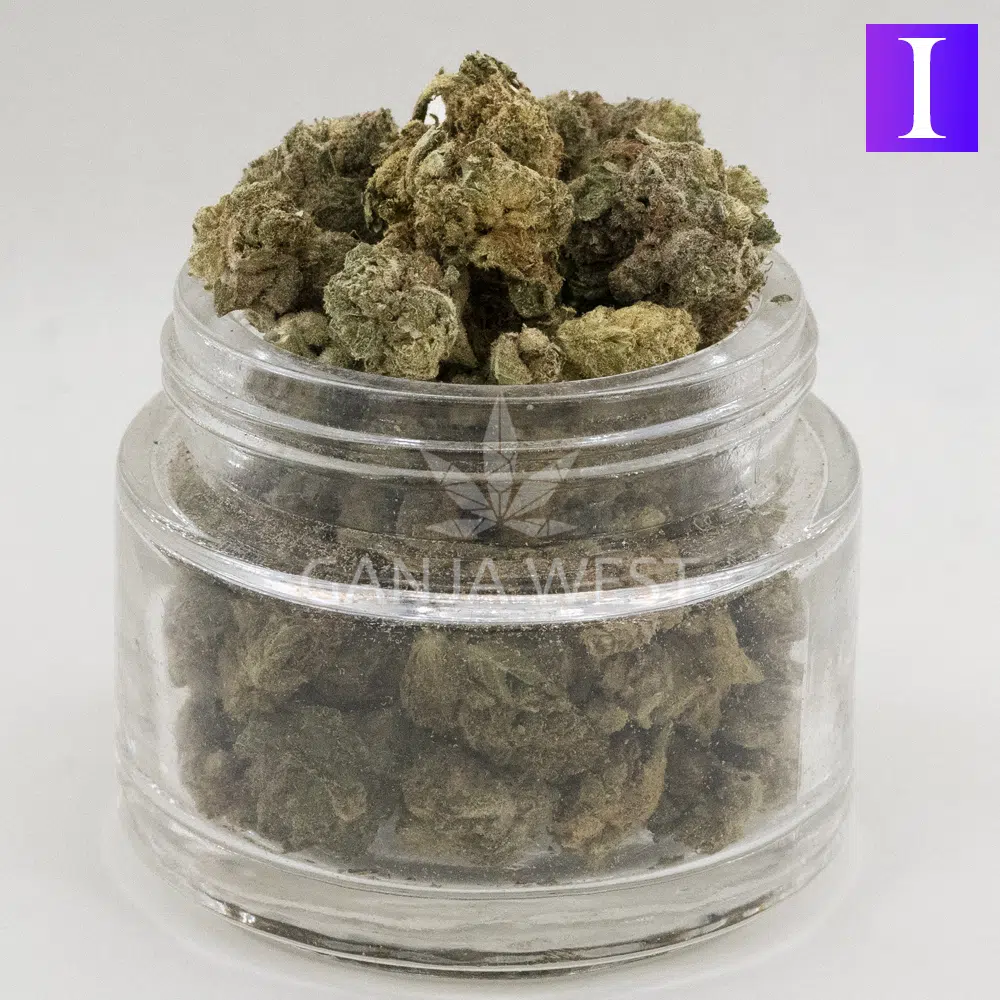 buy-weed-online-dispensary-ganja-west-death-bubba-aa-popcorn-jar Death Bubba AA Popcorn - Indica