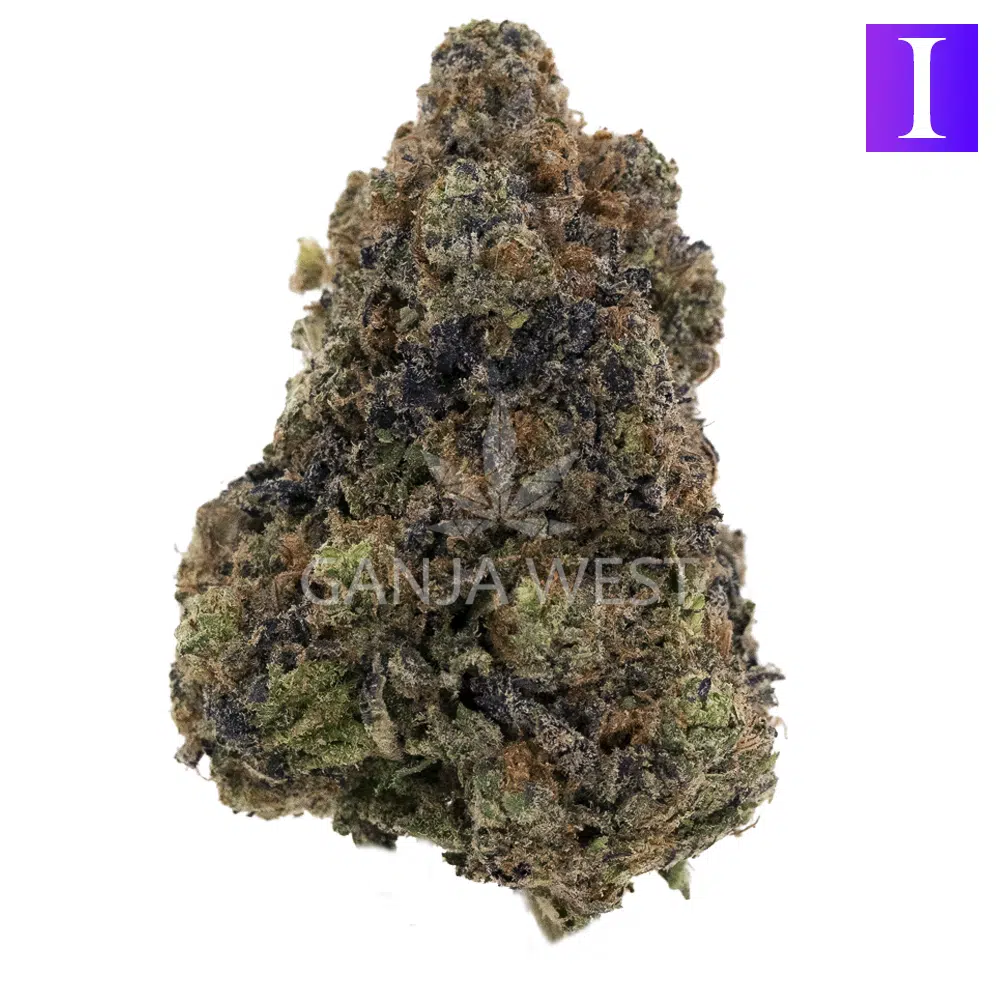 buy-weed-online-dispensary-ganja-west-forbidden-zkittlez-craft-nug Forbidden Zkittlez Craft - Indica
