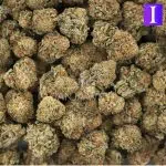 G13 Widow AAA - Indica - Image 3