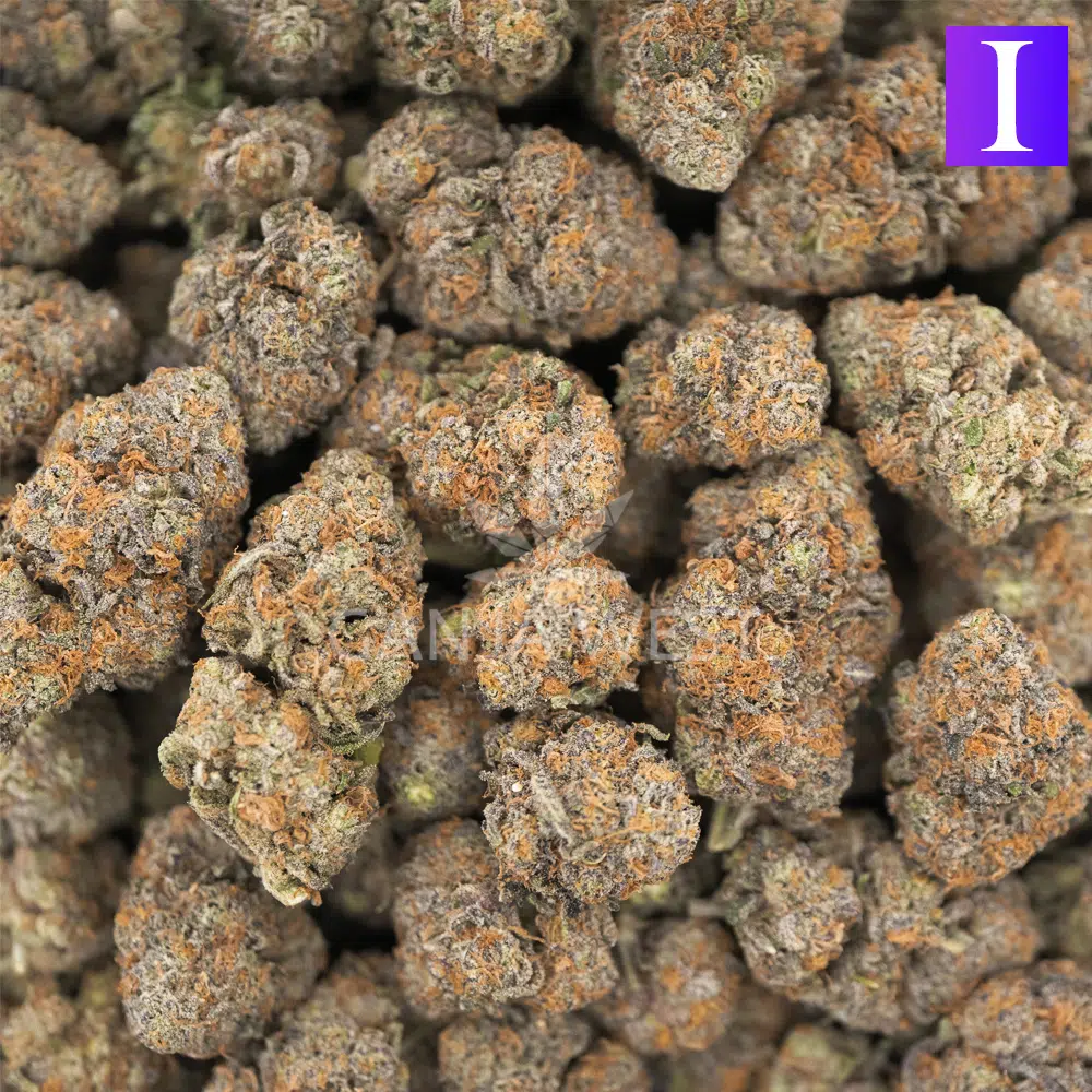 buy-weed-online-dispensary-ganja-west-midnight-runtz-aaaa-wholesale Wholesale - Midnight Runtz - AAAA