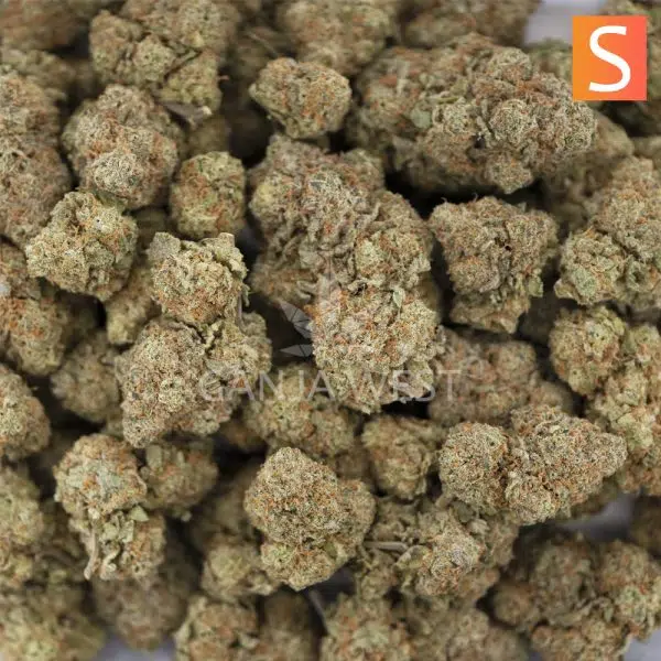 Wholesale - Super Silver Cough - AAA