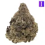 Alien Dawg AAA - Indica
