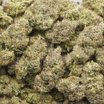 Grand Master Kush AAAA - Indica - Image 3