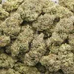 Wholesale - Grand Master Kush - AAAA