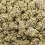 Hazy Margarita AA - Sativa - Image 3
