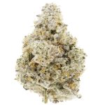 Lucuma Kush Craft - Indica