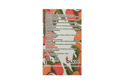 Burn – Mango Haze - Sativa - THC Disposable Pens (3 Grams)