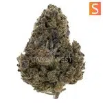 Maui Wowie A - Sativa