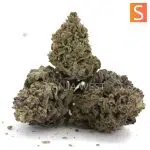 Maui Wowie A - Sativa - Image 2