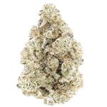 Wholesale - White Death - Craft - Image 3