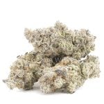 Wholesale - White Death - Craft - Image 2