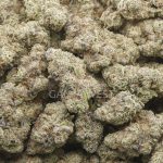 Wholesale - White Death - Craft