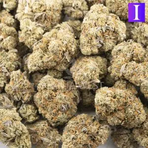 Wholesale - Pennywise - AA