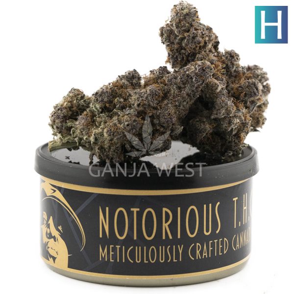 Notorious THC Craft - Grape Stomper x Sour Candy (7 Grams)