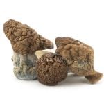 Shrooms - Blue Meanies