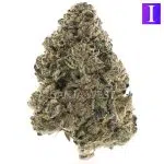 Gorilla Crush AAAA - Indica