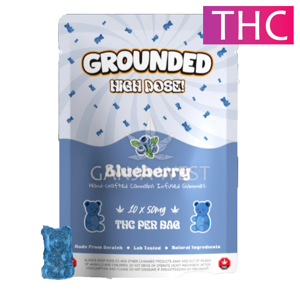 Grounded High Dose - Blueberry THC Gummies - 500 MG