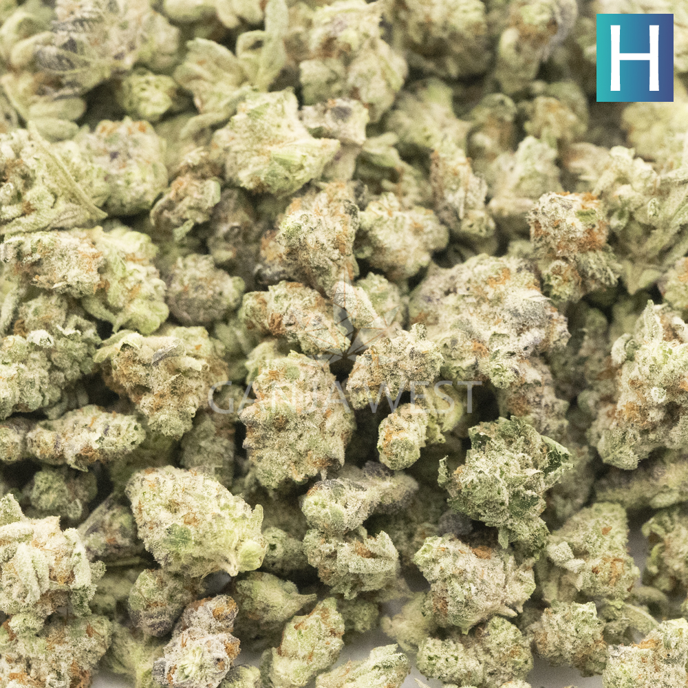 King Mamba AAAA Popcorn - Hybrid - Ganja West Online Dispensary Shop