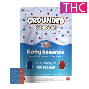 Grounded High Dose Bricks - Berry Bonanza THC Gummies - 2000 MG
