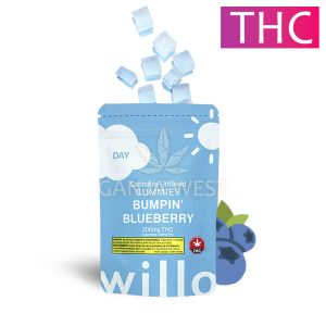 Willo - Bumpin' Blueberry Gummies - 200MG THC (Day)