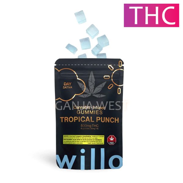 Willo - Tropical Punch Gummies - 500MG THC (Day)