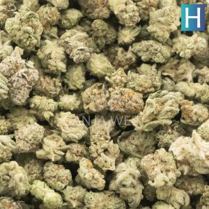 Wholesale Popcorn - Electric Punch - AAAA