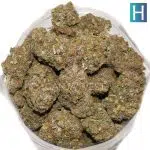 True Quads - Ice Age - Hybrid (28 Grams) - Image 2