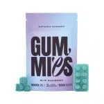 Euphoria - Blue Raspberry Gummies - 1000MG THC