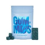 Euphoria Psychedelics - Blue Raspberry Gummies - 1000MG Psilocybin