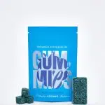 Euphoria Psychedelics - Blue Raspberry Gummies - 4000MG Psilocybin