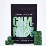 Euphoria Psychedelics - Watermelon Gummies - 6000MG Psilocybin