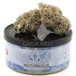Bundle – Welcome Pack Tuna Can (7 Grams) - Image 4