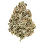 Ice Cream Man AAA - Indica