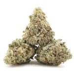 Ice Cream Man AAA - Indica - Image 2