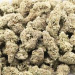 Wholesale Cannabis - Cereal MAC - AAA