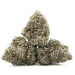 Cement Shoes Craft - Indica - Image 2