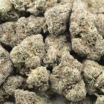 Wholesale Cannabis - Cement Shoes - Craft