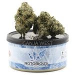 Notorious THC Craft - Dark Wizard (7 Grams)