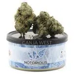 Notorious THC Craft - Dark Wizard (7 Grams)