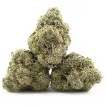 Russian Rocket Fuel AAAA - Indica - Image 2