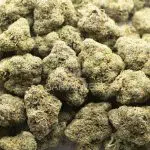 Wholesale Cannabis - Russian Rocket Fuel - AAAA
