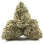 Supreme Gelato AAAA - Indica - Image 2