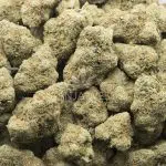 Wholesale Cannabis - Supreme Gelato - AAAA